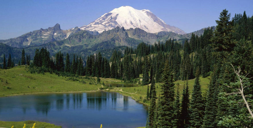 上川岛战地迷有限公司轮播图1